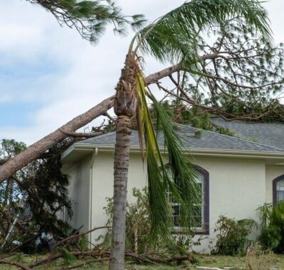 Hurricane Impact Windows - Florida Gulf Coast Impact Window and Door Systems