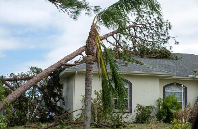 Hurricane Impact Windows - Florida Gulf Coast Impact Window and Door Systems