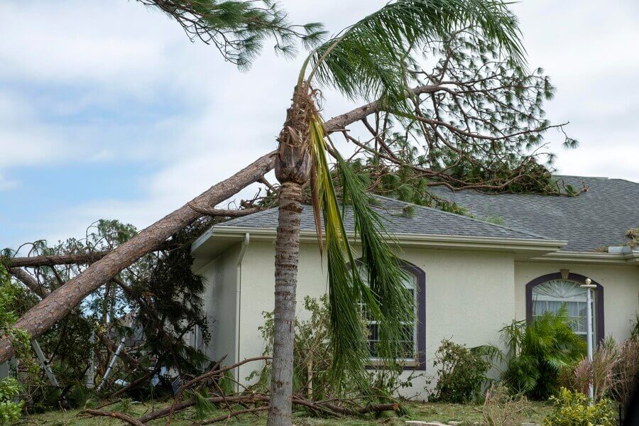 Hurricane Impact Windows - Florida Gulf Coast Impact Window and Door Systems